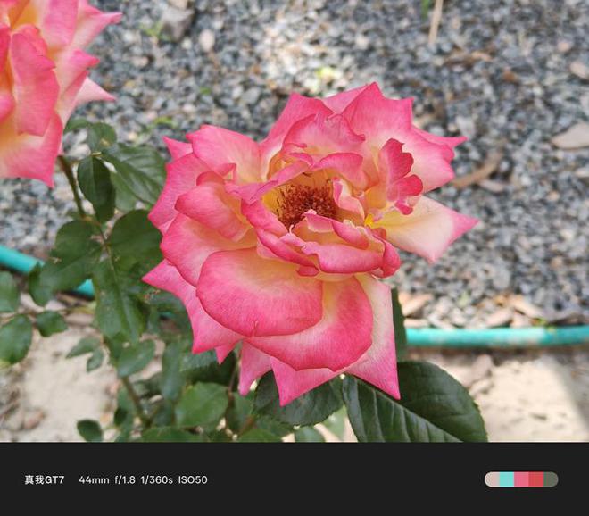 线千元价位迎来新卷王(图16)